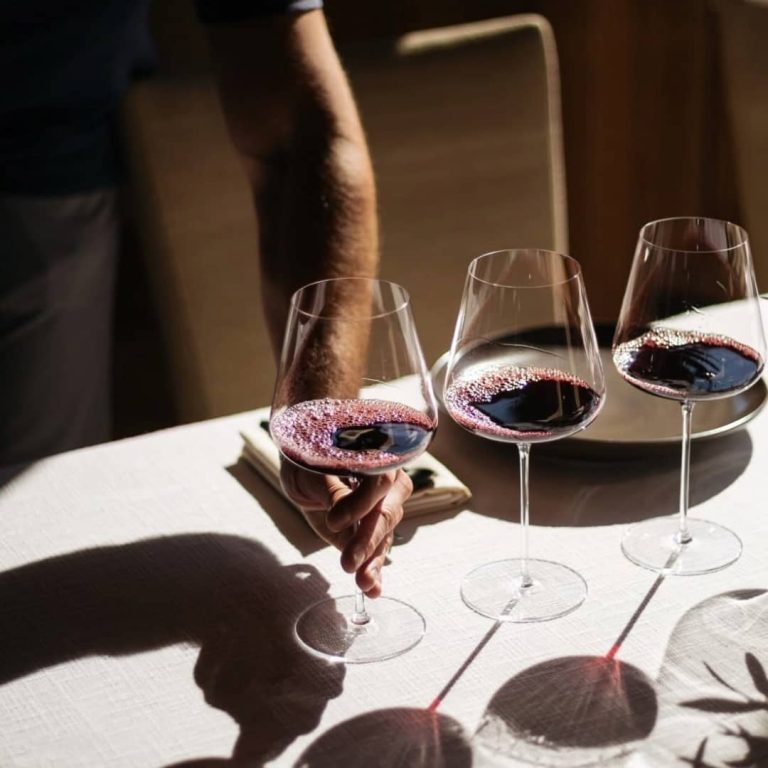 chateau-de-citeaux-degustation-vins-bourgogne-fontenille-collection