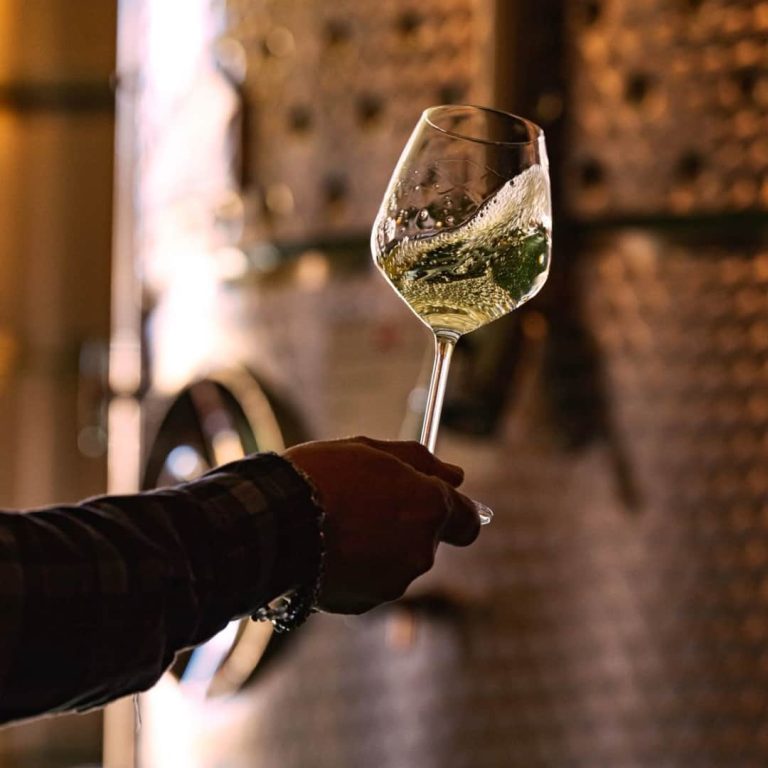 chateau-de-citeaux-degustations-oenologiques-bourgogne-meursault