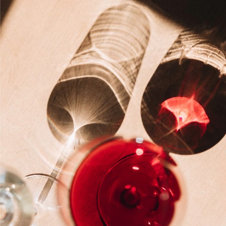 degustación de vinos de borgoña château de citeaux grands crus