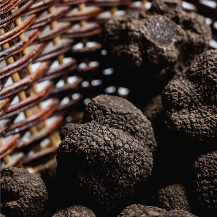 gastronomie-truffe-bourgogne-restaurant-meursault-chateau-de-citeaux-fontenille