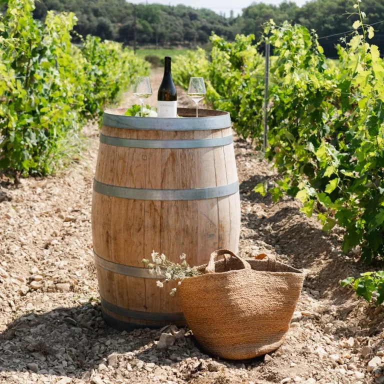 hotel-chateau-de-citeau-borgogna-experiencia